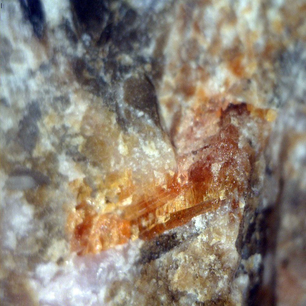 Sarkinite