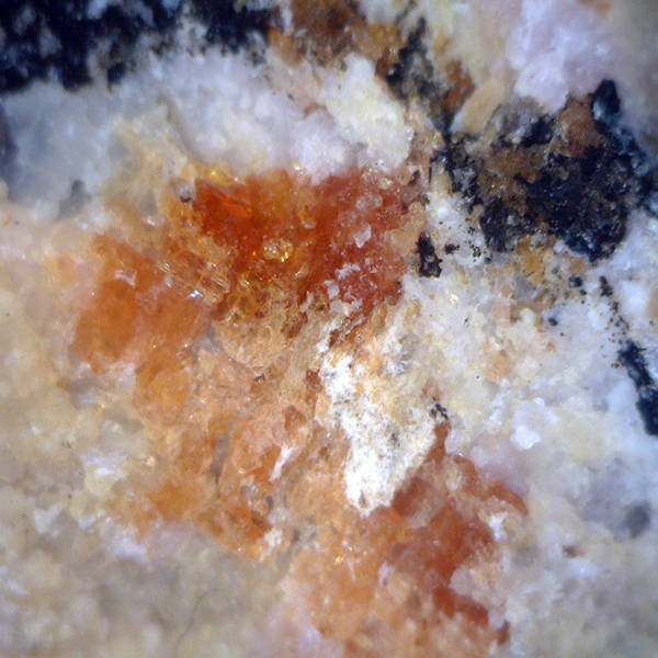 Sarkinite