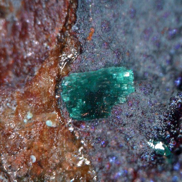 Brochantite & Carbonatecyanotrichite