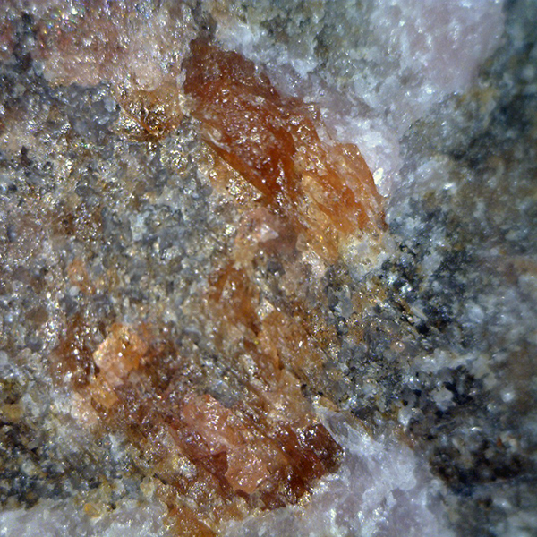 Sarkinite