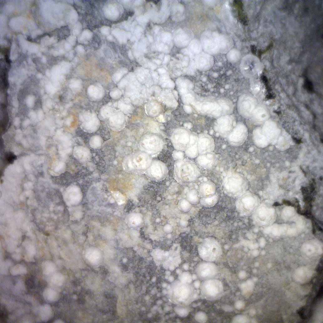 Hydromagnesite