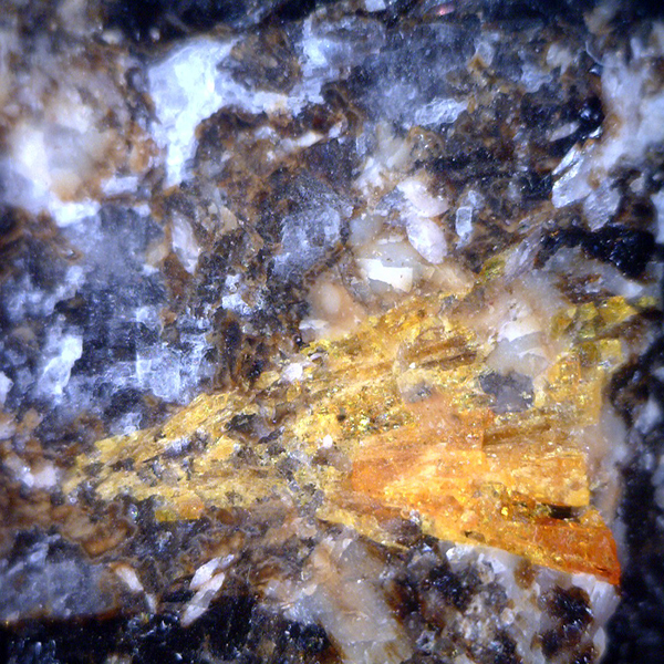 Sarkinite