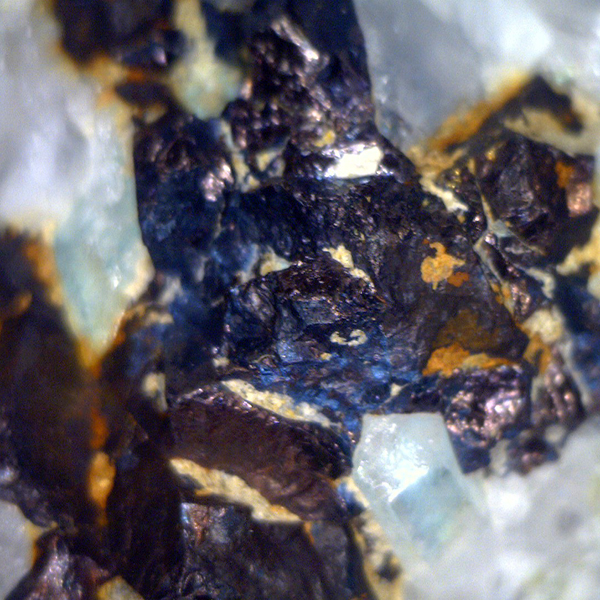 Bornite