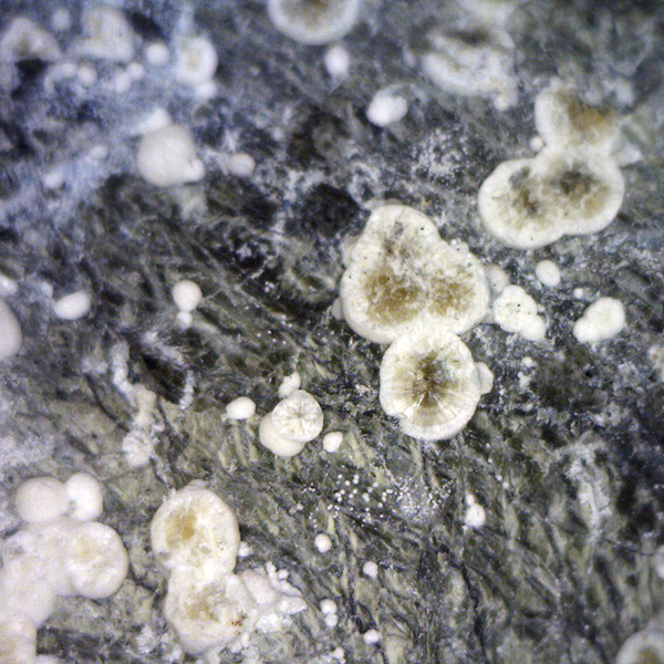 Hydromagnesite & Pyroaurite