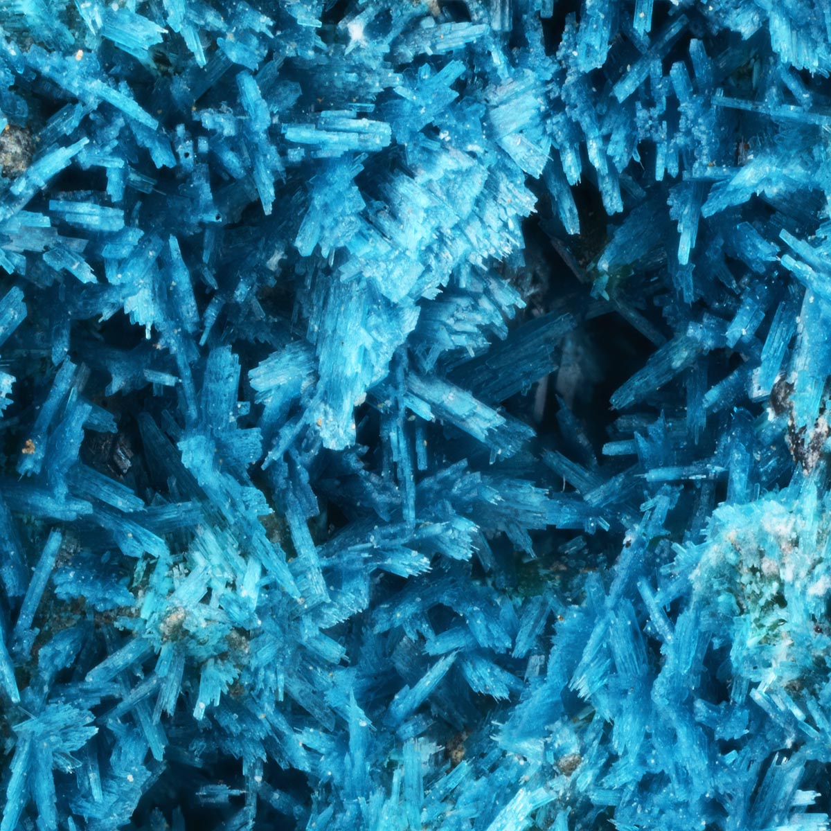 Langite