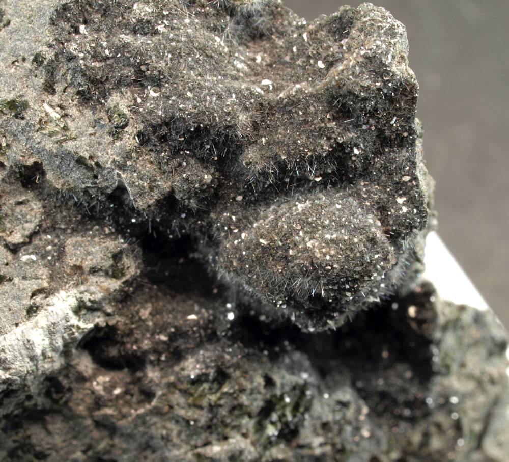 Magnesio-hastingsite & Phlogopite