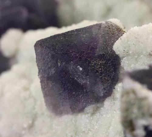 Fluorite With Pyrite