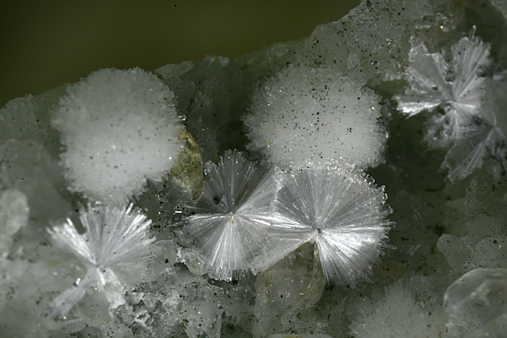 Hydrodresserite & Dresserite