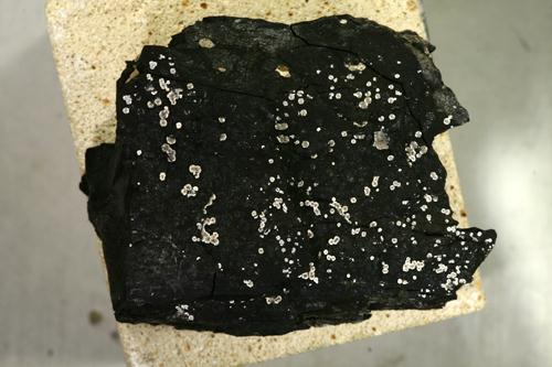 Kochsándorite