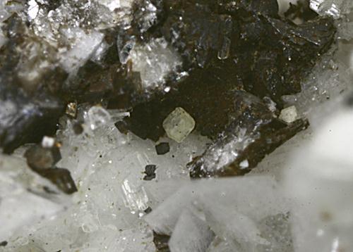 Peatite-(Y) & Ramikite-(Y) & Gobbinsite