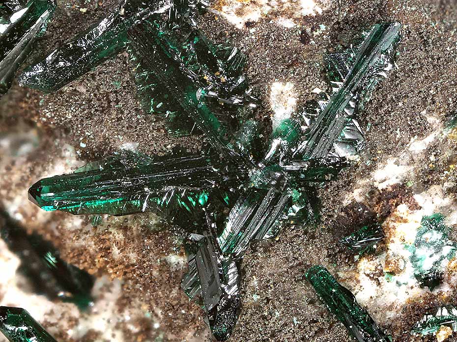 Anatacamite & Atacamite