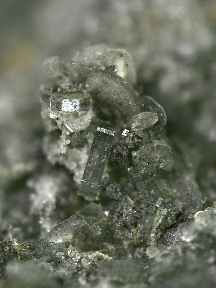 Brandholzite