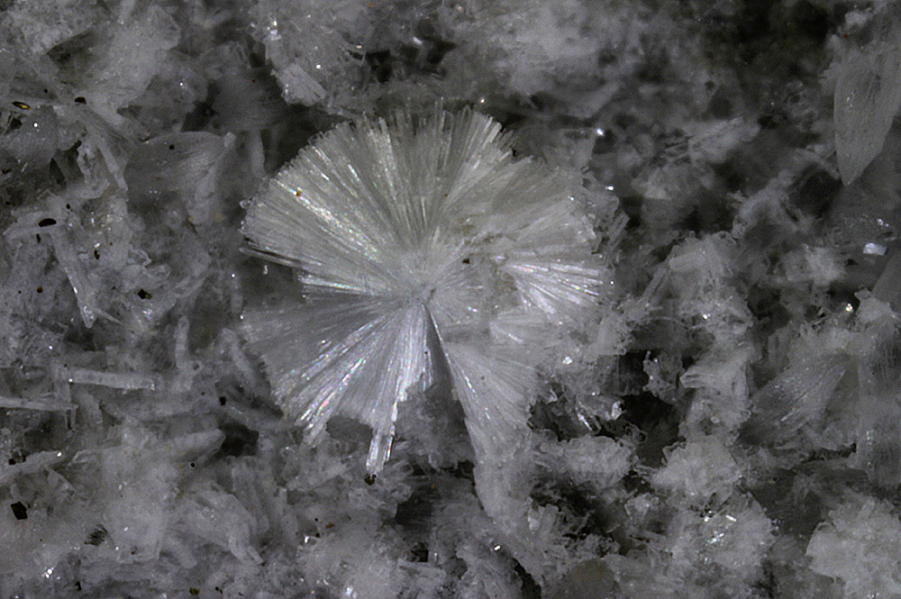 Hydrodresserite