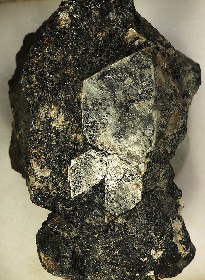 Naujakasite