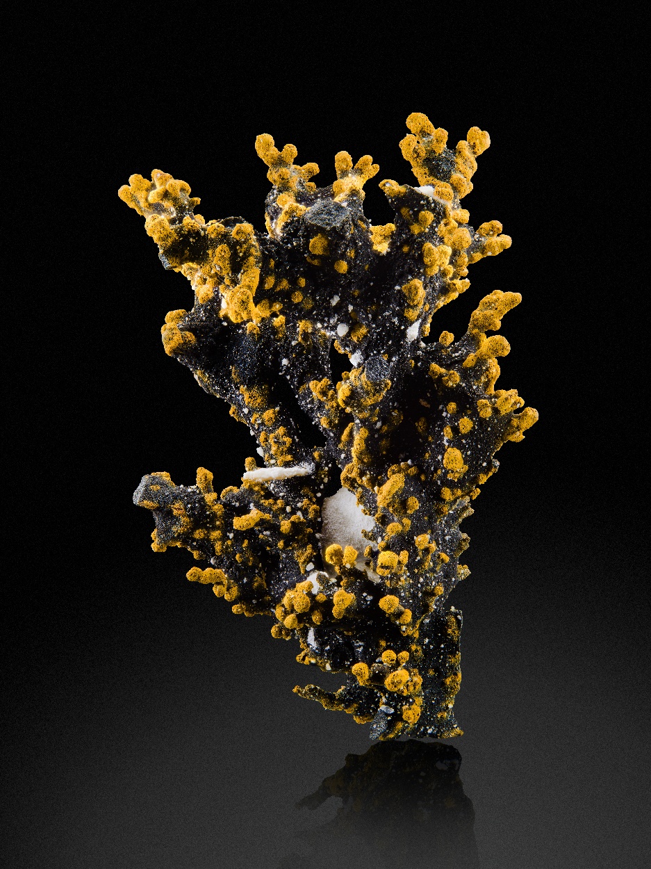 Romanèchite & Goethite