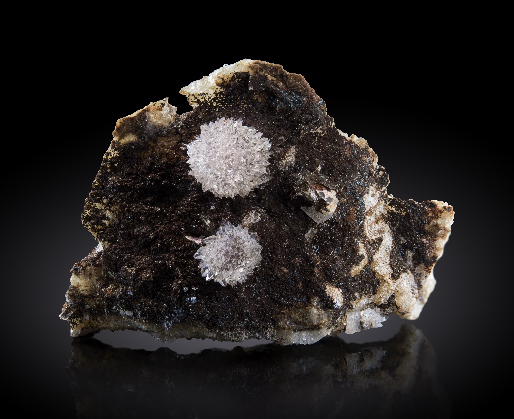 Creedite