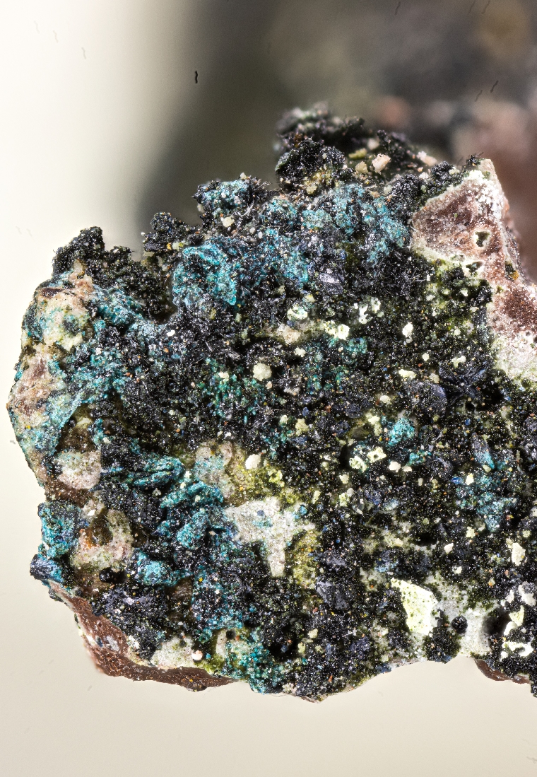Pilipenkoite