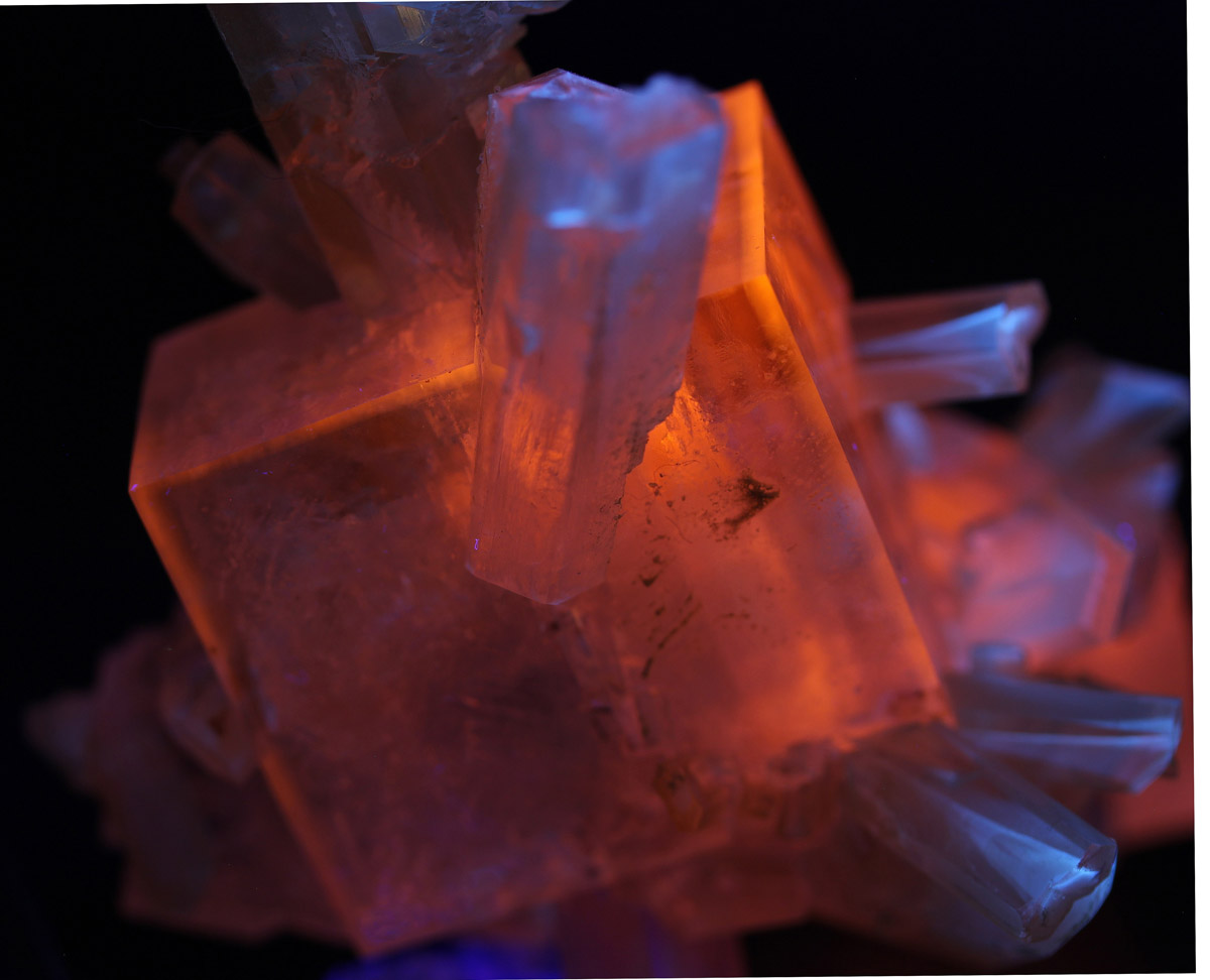 Halite & Selenite