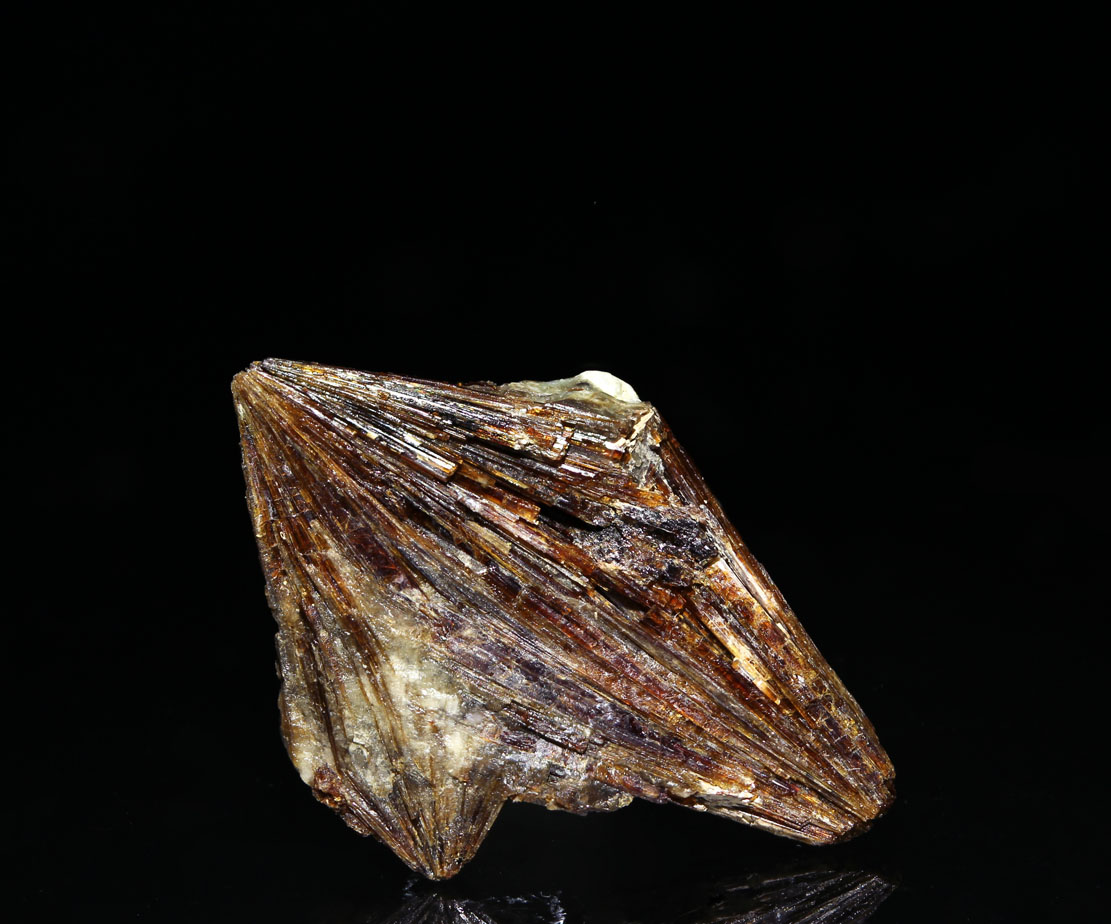 Lamprophyllite