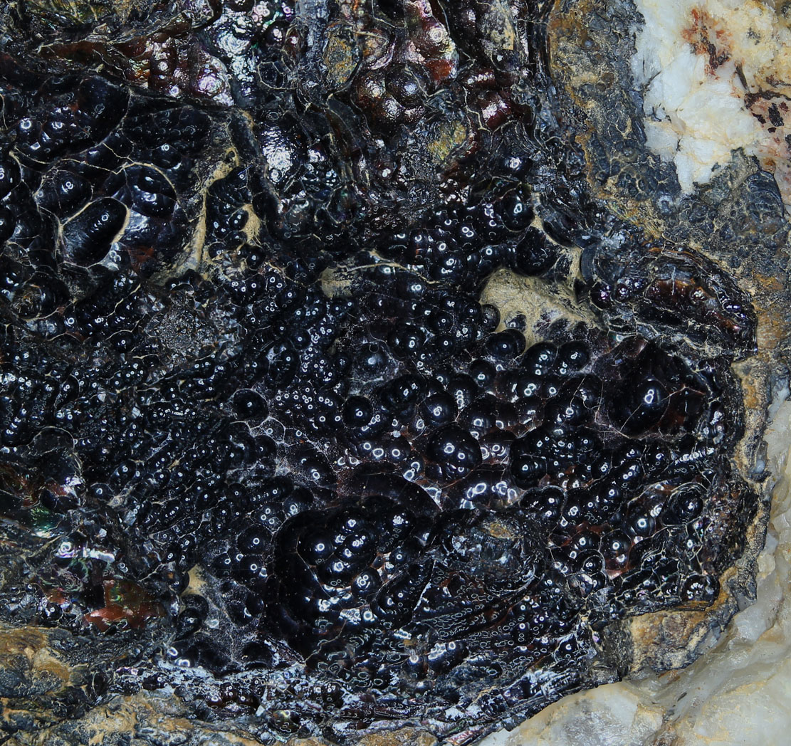 Lithiophorite