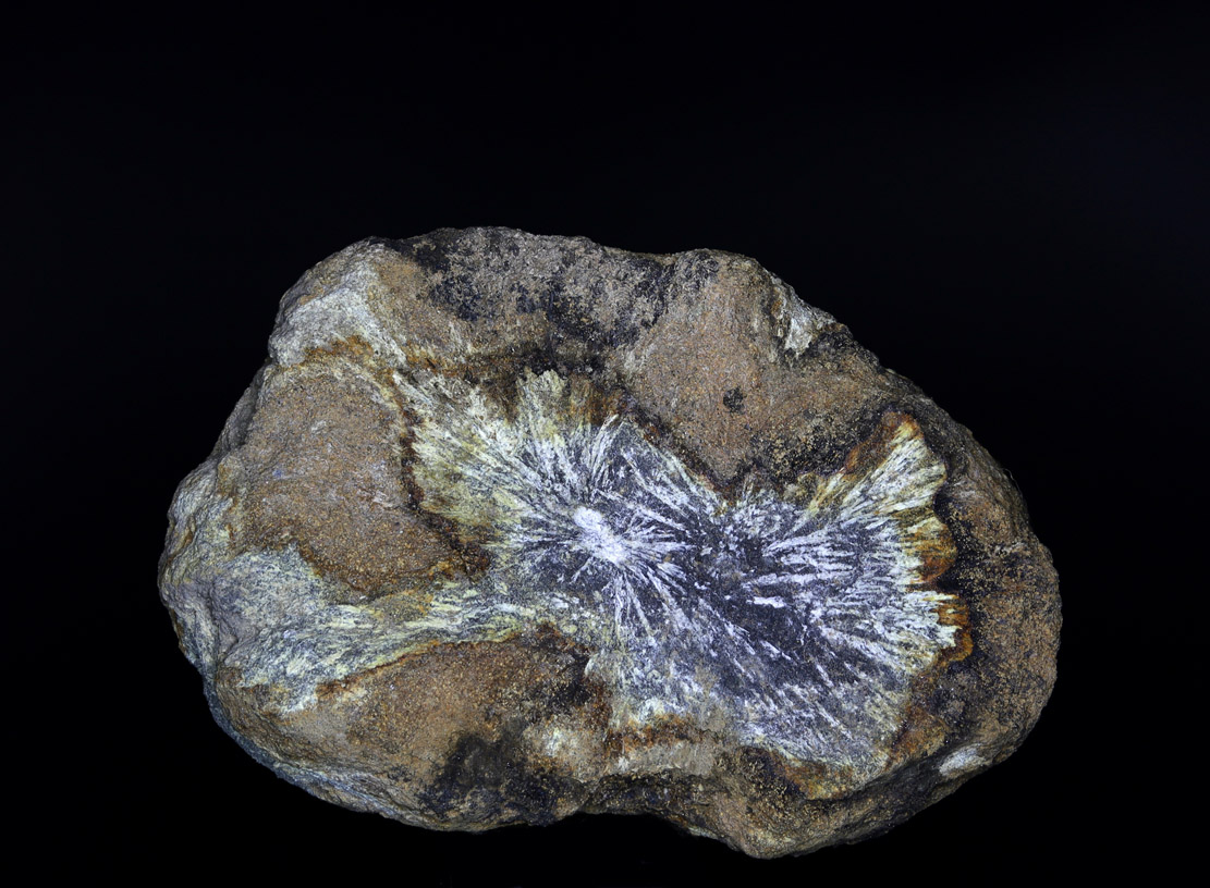 Stibnite & Valentinite