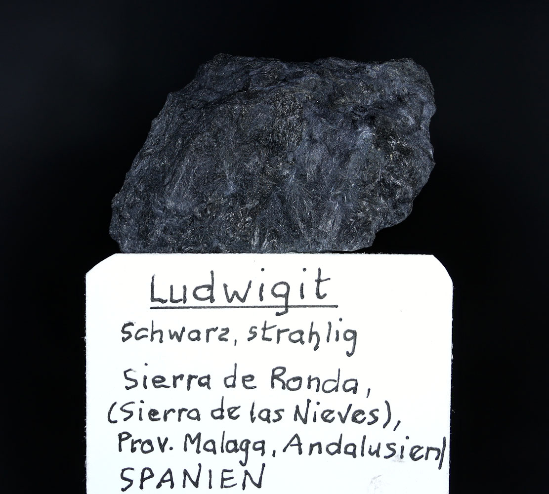 Ludwigite