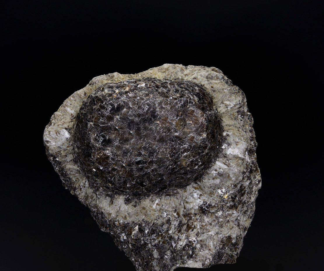 Anthophyllite & Phlogopite