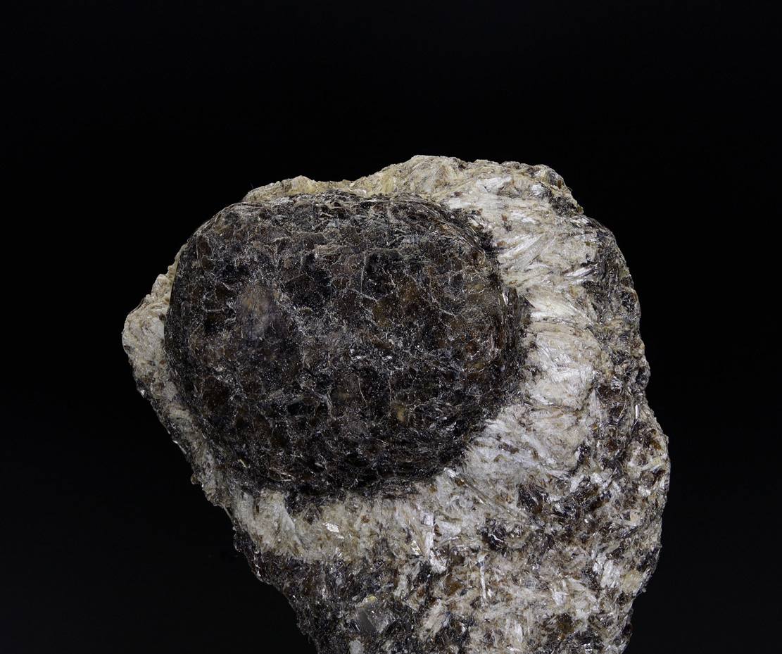 Anthophyllite & Phlogopite