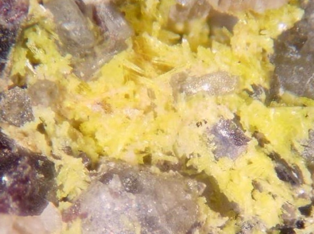 Kasolite Uraninite & Zircon