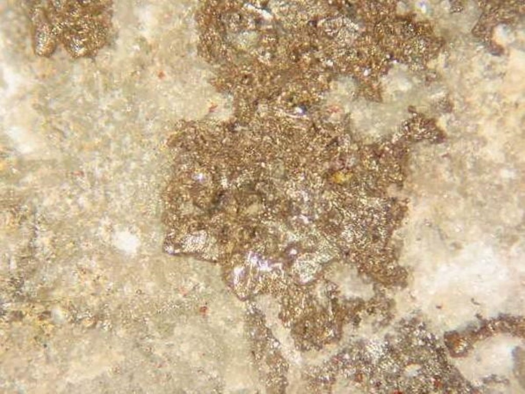 Bromargyrite