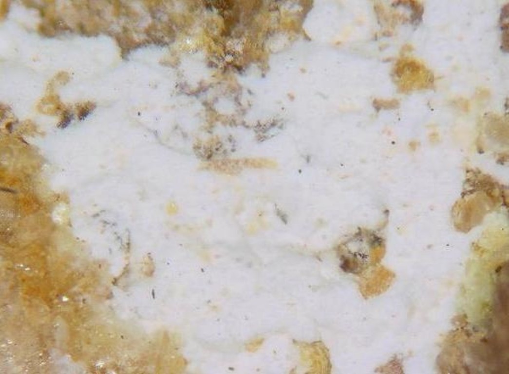 Coconinoite