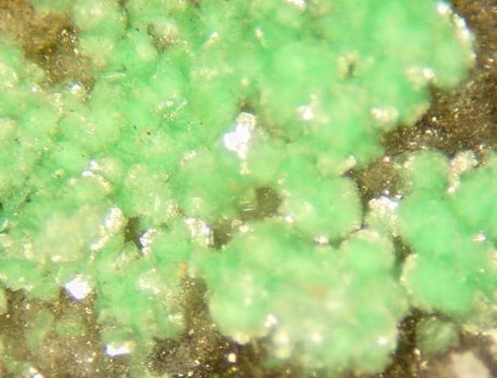 Metatorbernite & Wavellite