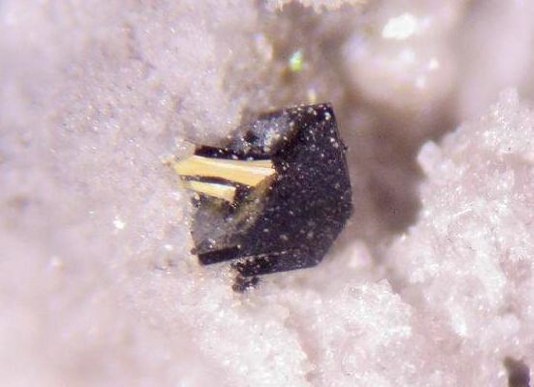 Holfertite