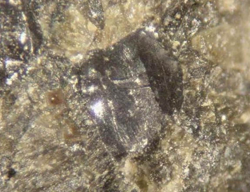 Zircon Uraninite & Allanite