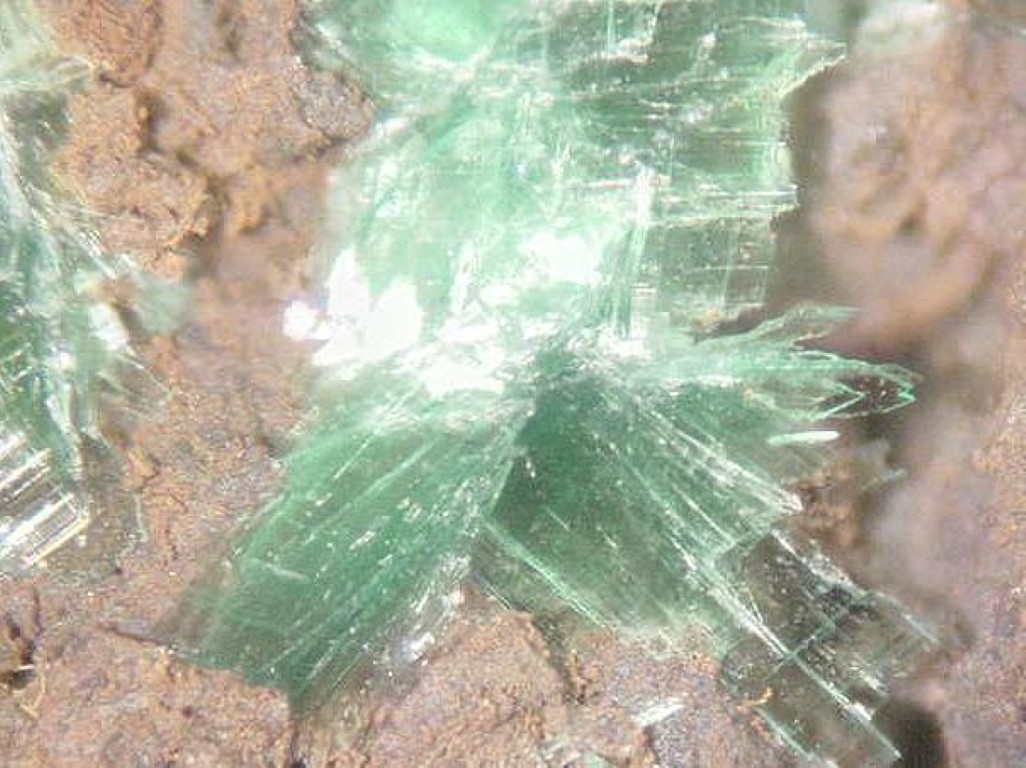 Torbernite