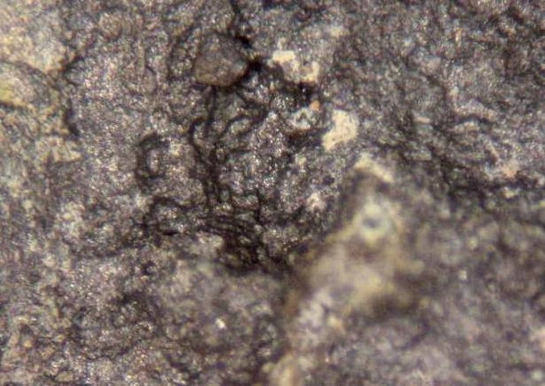 Uraninite