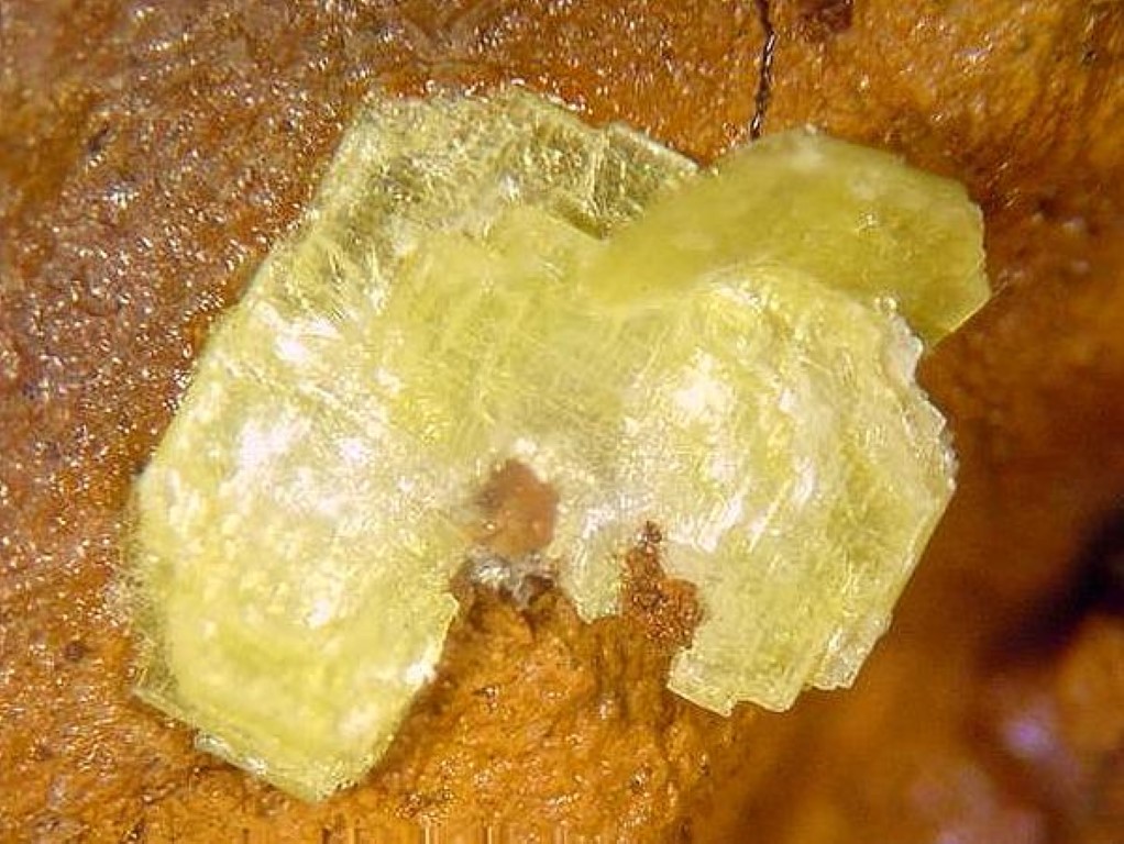 Autunite