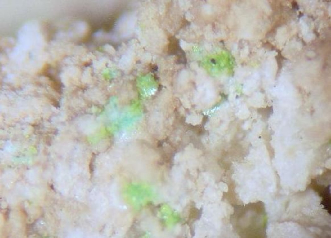 Molybdofornacite