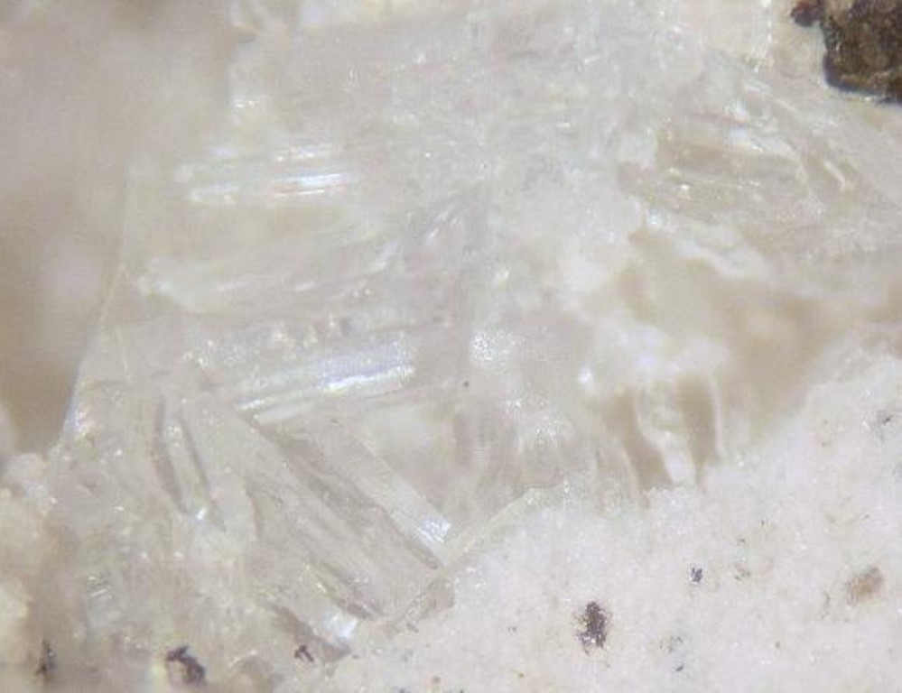 Tridymite