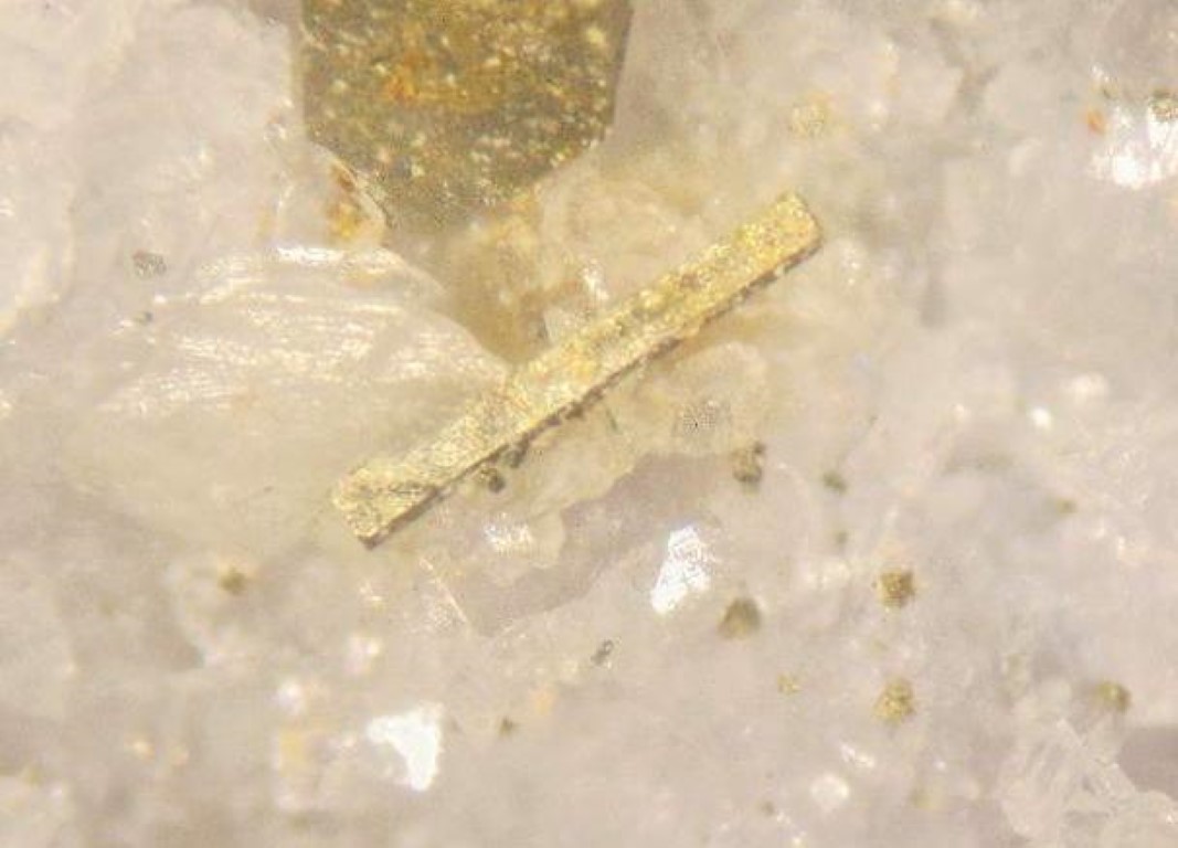 Pyrite & Fluorapatite