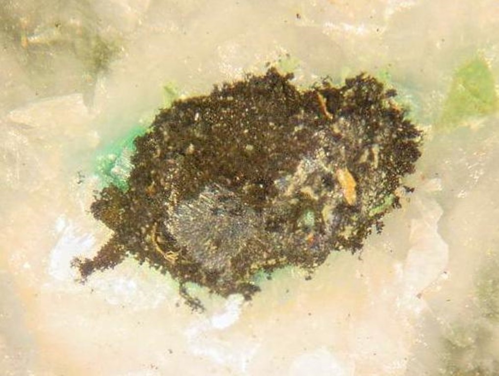 Digenite & Natrolite