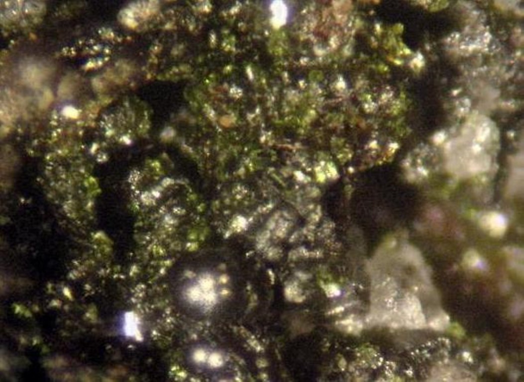 Conichalcite