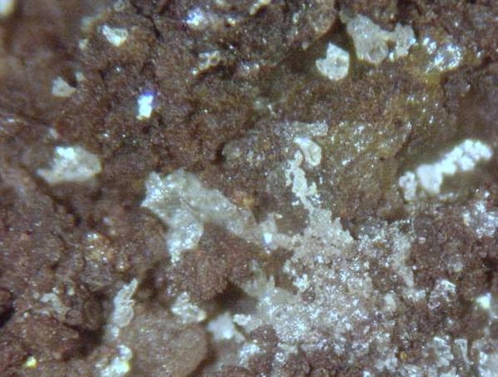 Iodargyrite