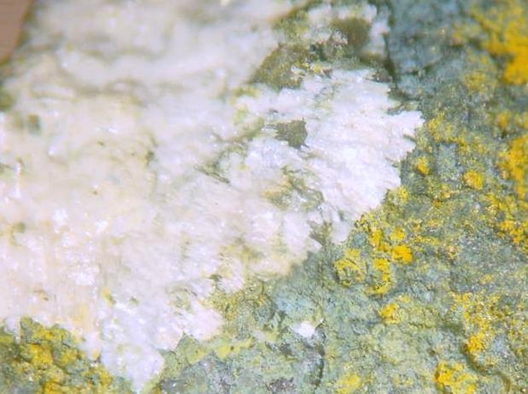 Magnesiopascoite & Metarossite