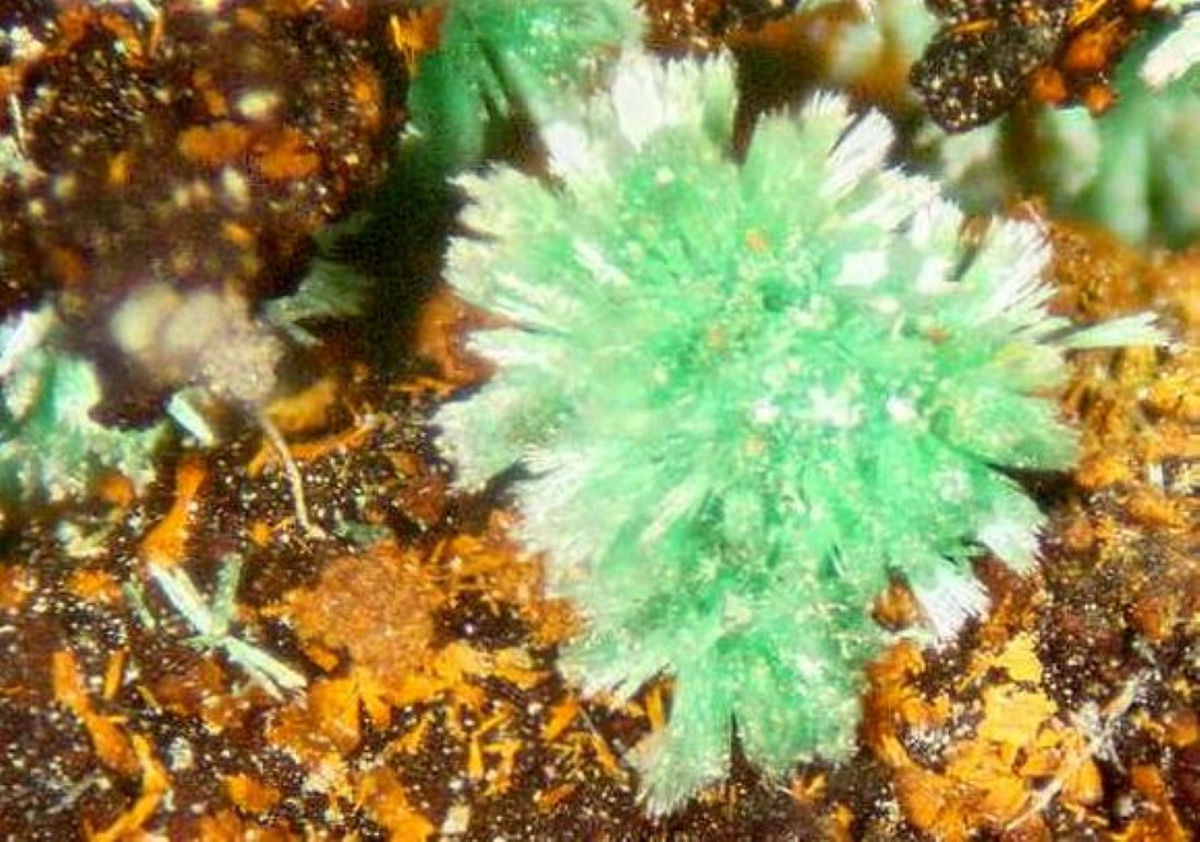 Malachite Psm Cuprite