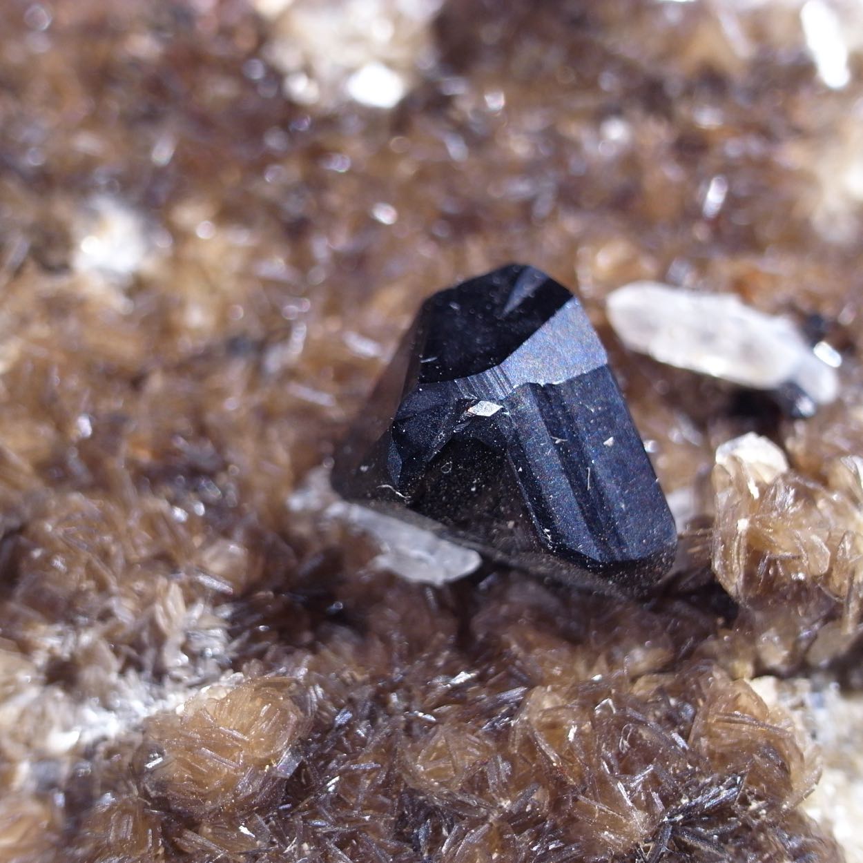 Cassiterite