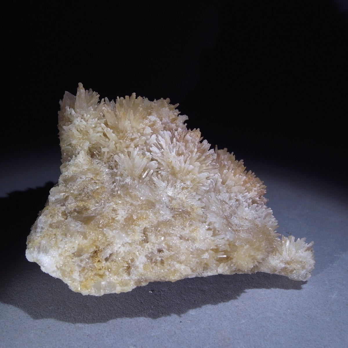 Calcite & Aragonite