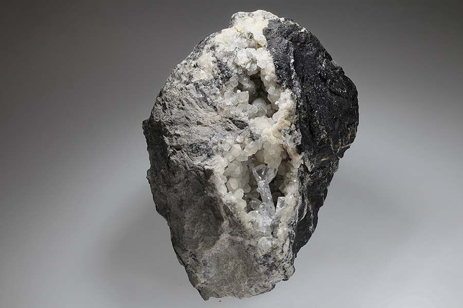 Whewellite