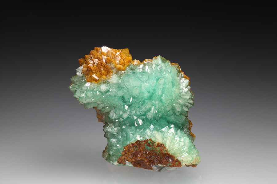 Cuprian Adamite