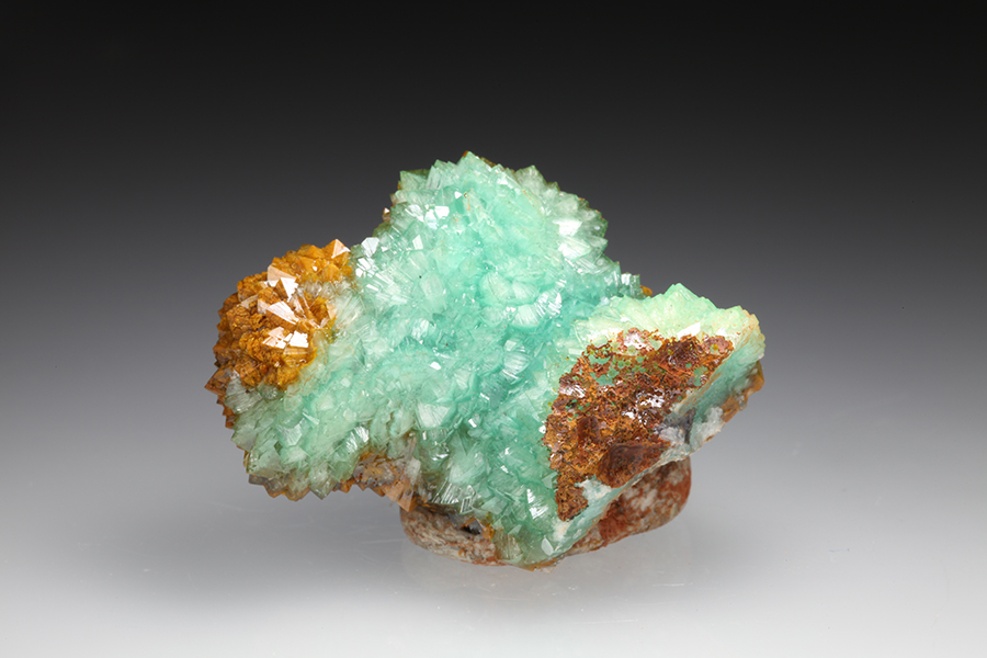 Cuprian Adamite